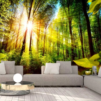Artgeist Fototapetas - Forest Hideout