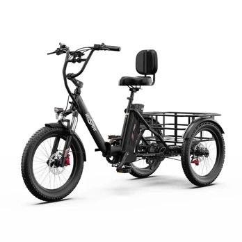 OneSport OT30 PRO triratis elektrinis dviratis