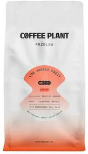 COFFEE PLANT - LOW Jungle Fruit Filter 800g