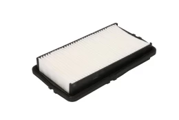 Oro filtras FILTRON AP102 kaina