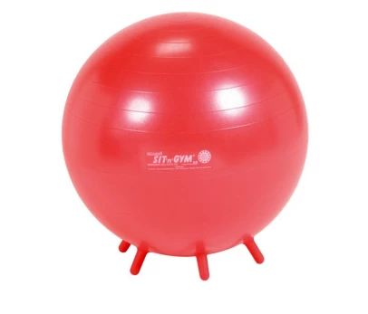 Sėdėjimo kamuolys 55 cm