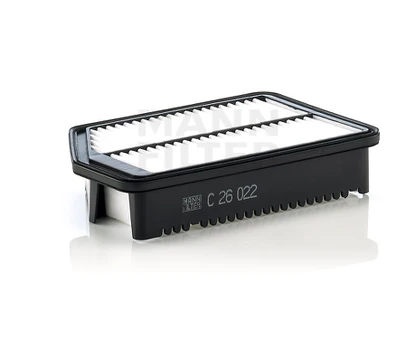 Oro filtras C26022