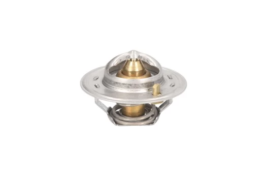 termostatas, aušinimo skystis THERMOTEC D2CA006TT