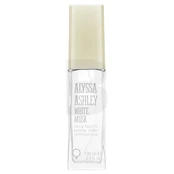 Alyssa Ashley White Musk EDT 100 ml kaina