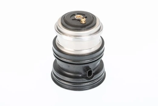 Termostatas, aušinimo skystis BorgWarner (Wahler) 410448.107D