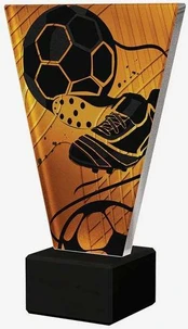 Detal Trofeum Mini-Line Amber - WĘDKARSTWO KARP