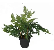 Dirbtinis augalas vazone Splendid Asparagus, juoda/žalia, 450 mm kaina