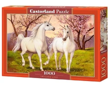 Puzzles 1000 elements Unicorn Love kaina