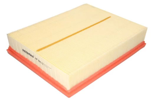Oro filtras FILTRON AP194/2
