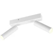 LED lubų taškinis šviestuvas "Ambala", 2 lemputės, baltas, metalinis, CCT,
