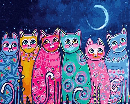 Tapybos rinkinys "Colorful cat night"