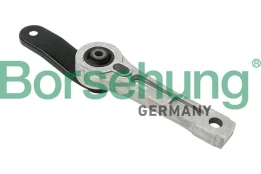 Variklio montavimas Borsehung B12266 kaina