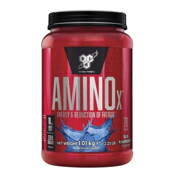 BSN Amino X 1010 g. (Vaisių punšo skonis)