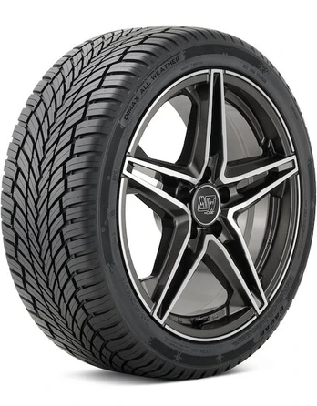 Radar Dimax All Season 225/45R19 96 W