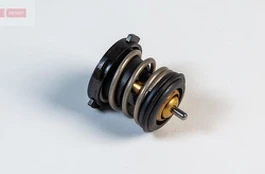 Termostatas, aušinimo skystis DENSO DTM80964