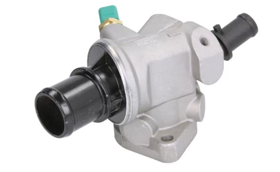 termostatas, aušinimo skystis THERMOTEC D2F004TT