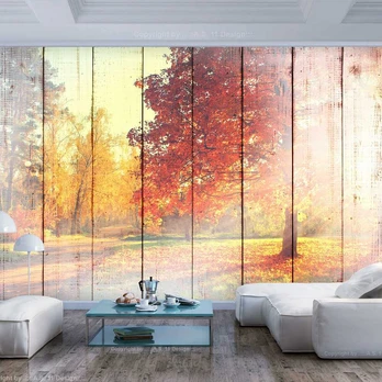 Artgeist Fototapetas - Autumn Sun