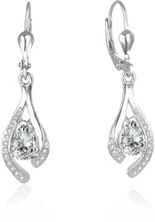 Beneto Beautiful sidabrinis earrings with clear zircons AGUC2693-W kaina