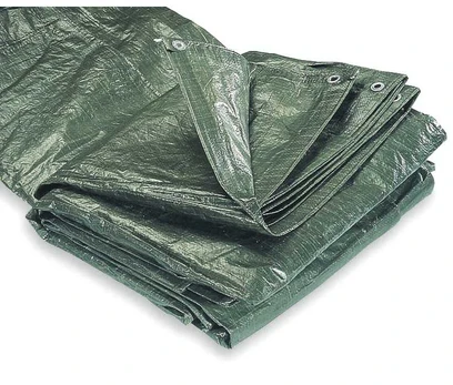 Pārklājs fxa 6x10m 100gr/m2 zaļš