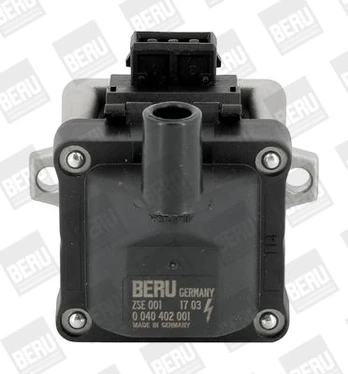 Ritė, uždegimas BorgWarner (BERU) ZSE001