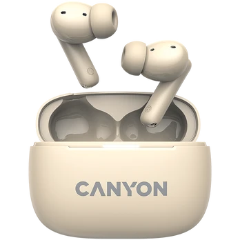 Ausinės Canyon OnGo TWS-10