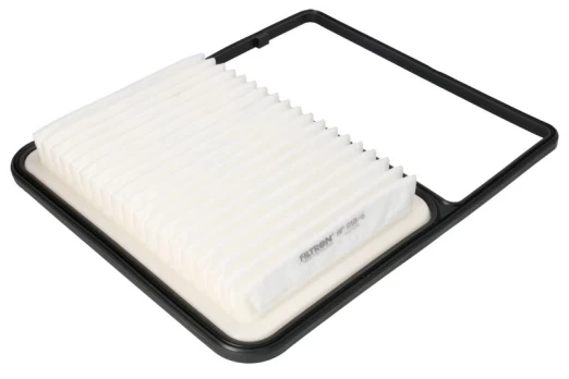 Oro filtras FILTRON AP018/6