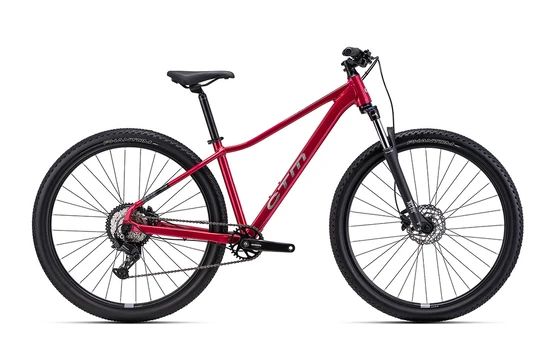 Dviratis CTM Charisma 1.0 29" dydis L