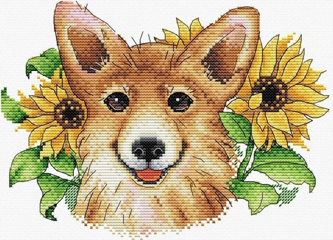 Sunny corgi SM-503