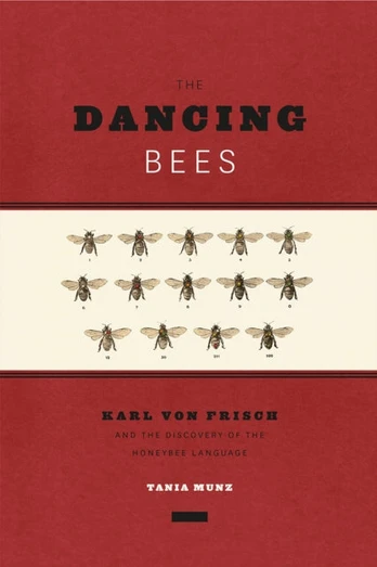 Dancing Bees
