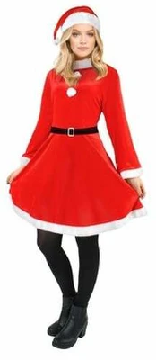 Kostiumas – ponia claus malatec 22702