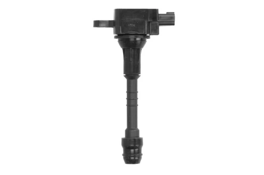 Ritė, uždegimas NGK 48139