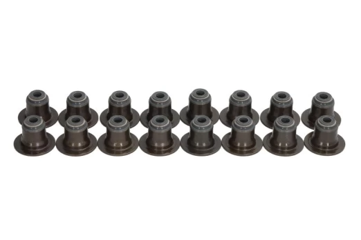 REINZ 12-10143-01 Valve stem seal set