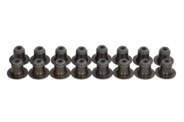 REINZ 12-10143-01 Valve stem seal set kaina