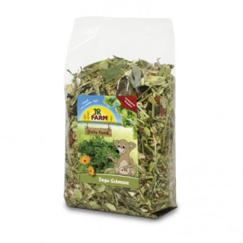 JR Farm Degus Feast, visavertis degu pašaras, 800g