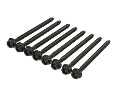 REINZ 14-32385-02 Cylinder head bolt set kaina