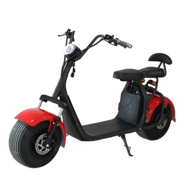 Elektrinis motoroleris čioperis RIDE-E M2 1000W 20Ah 60V