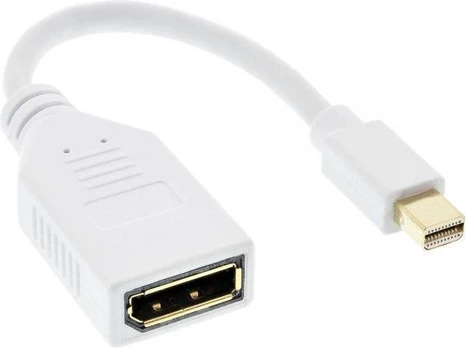 AV adapteris InLine Rodyti Port Mini - DisplayPort balta (17150W)