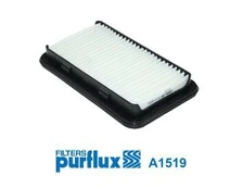 Oro filtras PURFLUX A1519