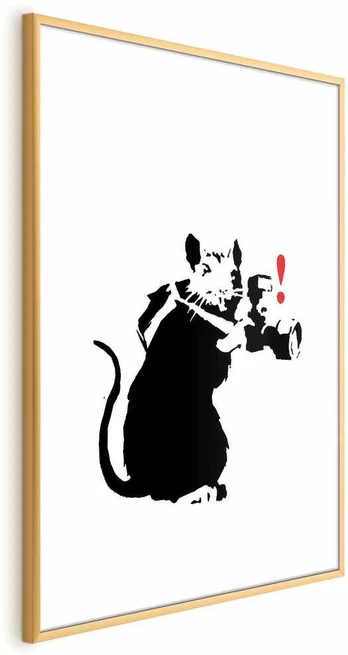 Artgeist Plakatas - Photographer Rat