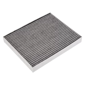 Salono filtras BLUE PRINT ADG025101