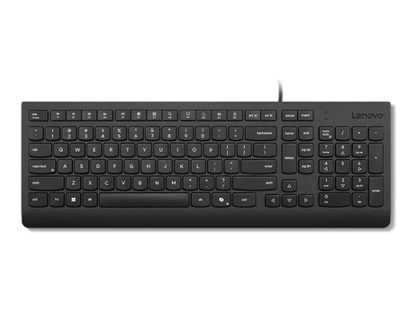 LENOVO ESSENTIAL WIRED KEYBOARD / WITH COPILOT BUTTON/ US ENGLISH | 4Y41R64633