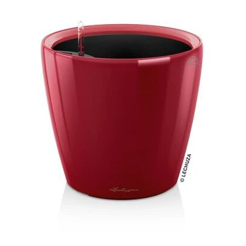 Lechuza Classico Premium LS 50 cm