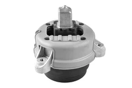 Variklio montavimas TEDGUM TED56397