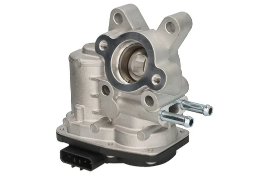 EGR vožtuvas BORG WARNER WA729015D