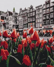 Tapyba pagal skaičius. Amsterdamo tulpės