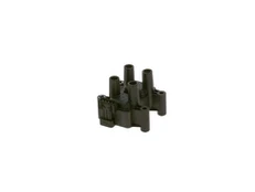Ritė, uždegimas BOSCH F01R00A025
