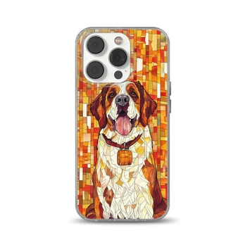 Coverolla dizaino telefono dėklas, tinkantis Samsung S9 Plus ,spalvotas