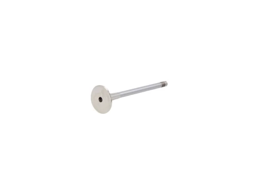 AE V94692 Exhaust valve