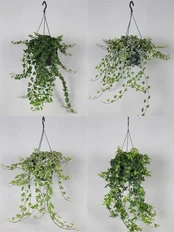Vazoninis augalas gebenė, Ø 19, 50 cm, lot. HEDERA kaina
