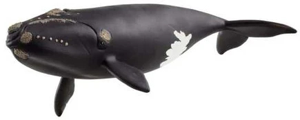 Schleich North Atlantic Right Whale